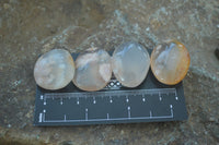 Polished Ocean Flower Agate Palm Stones  x 37 From Antsahalova, Madagascar - Toprock Gemstones and Minerals 