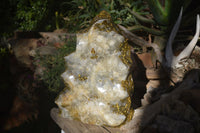 Polished Giant Orbicular Ocean Jasper Flame Sculpture  x 1 From Madagascar - Toprock Gemstones and Minerals 