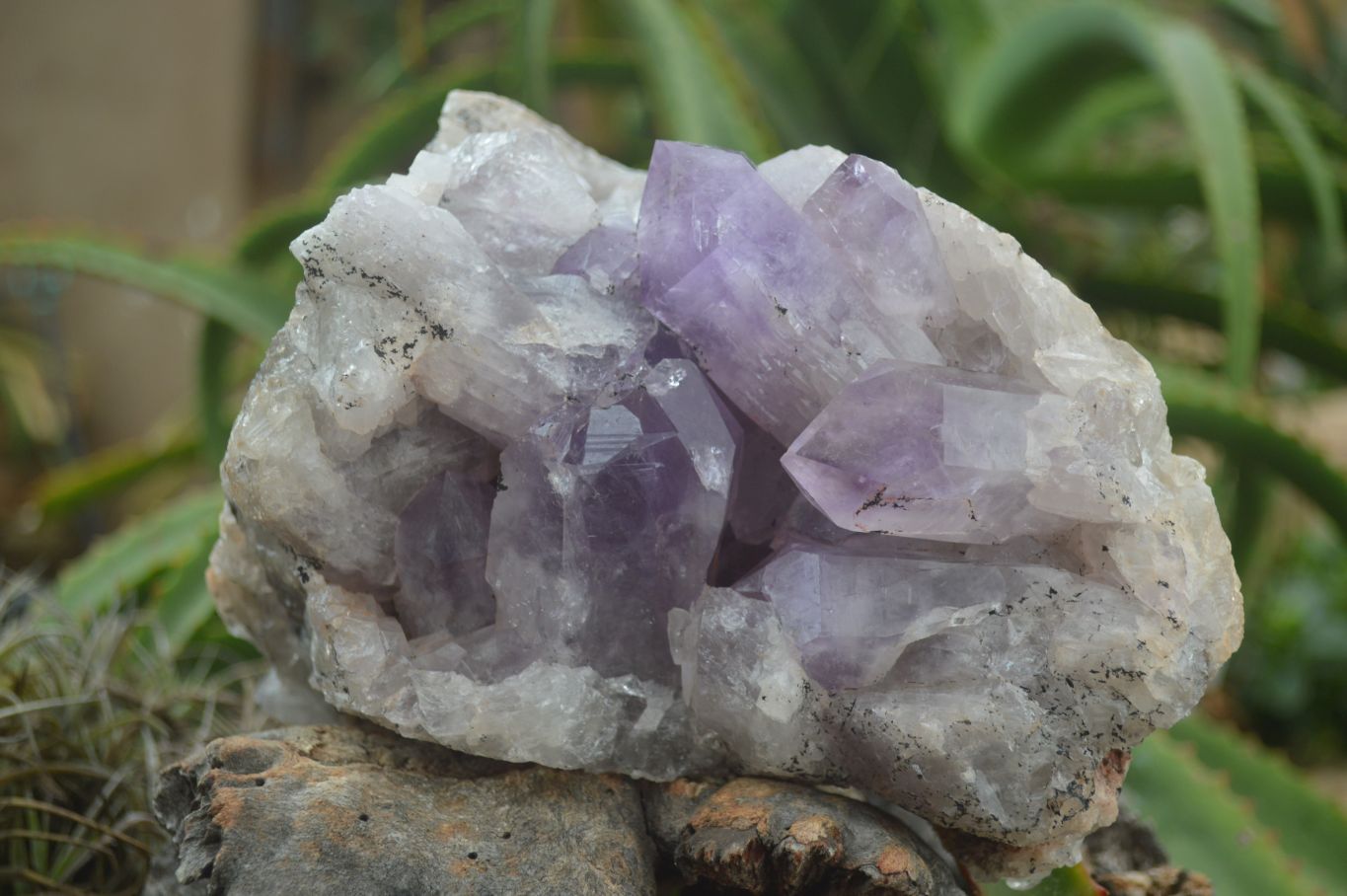 Natural Jacaranda Amethyst Cluster x 1 From Mumbwa, Zambia - TopRock