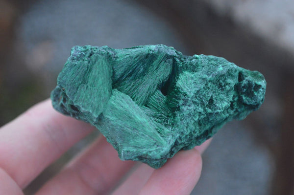 Natural Large Chatoyant Silky Malachite Specimens  x 4 From Kasompe, Congo