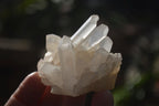 Natural Small Quartz Clusters  x 24 From Madagascar - Toprock Gemstones and Minerals 