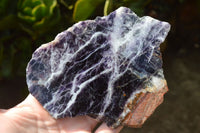 Polished Semi Translucent Watermelon Fluorite Slices x 3 From Uis, Namibia - TopRock