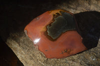 Polished One Side Polished Polychrome Jasper Nodules  x 3 From Madagascar - Toprock Gemstones and Minerals 