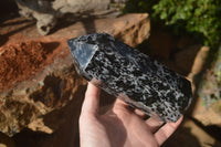 Polished Gabbro Merlinite Points  x 2 From Madagascar