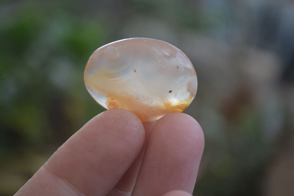 Polished Ocean Flower Agate Palm Stones  x 37 From Antsahalova, Madagascar - Toprock Gemstones and Minerals 