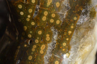 Polished Giant Orbicular Ocean Jasper Flame Sculpture  x 1 From Madagascar - Toprock Gemstones and Minerals 