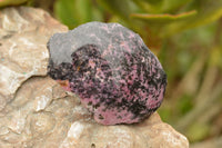 Polished Half Polished Rhodonite Free Forms  x 4 From Madagascar - TopRock