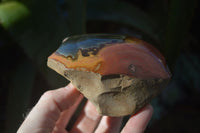 Polished One Side Polished Polychrome Jasper Nodules  x 3 From Madagascar - Toprock Gemstones and Minerals 
