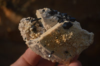 Natural Schorl Black Tourmaline Specimens x 6 From Erongo, Namibia - Toprock Gemstones and Minerals 