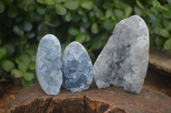 Polished Blue Celestite Standing Free Forms  x 6 From Sakoany, Madagascar - Toprock Gemstones and Minerals 