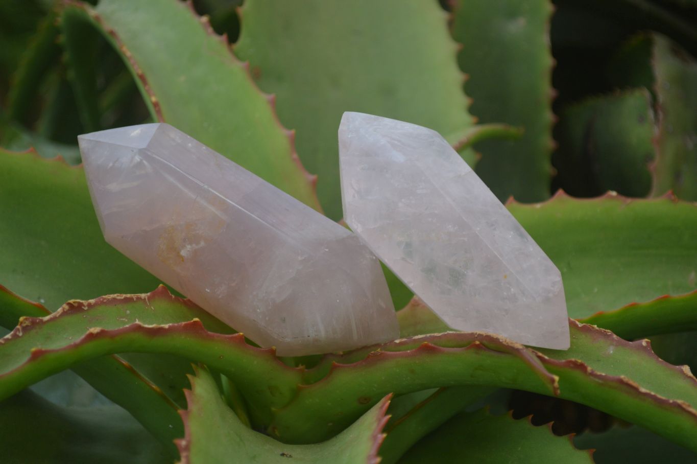 Polished Gemmy Double Terminated Rose Quartz Points x 6 From Antsirabe, Madagascar - Toprock Gemstones and Minerals 