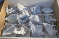 Natural Etched Blue Chalcedony Specimens  x 12 From Nsanje, Malawi - Toprock Gemstones and Minerals 