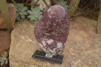 Polished Rubellite A Grade Large Standing Display Free form x 1 From Madagascar - Toprock Gemstones and Minerals 