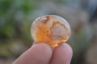 Polished Ocean Flower Agate Palm Stones  x 37 From Antsahalova, Madagascar - Toprock Gemstones and Minerals 