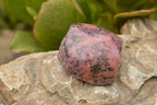 Polished Half Polished Rhodonite Free Forms  x 4 From Madagascar - TopRock