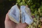 Natural Blue Lace Agate Geode Specimens  x 6 From Nsanje, Malawi - Toprock Gemstones and Minerals 