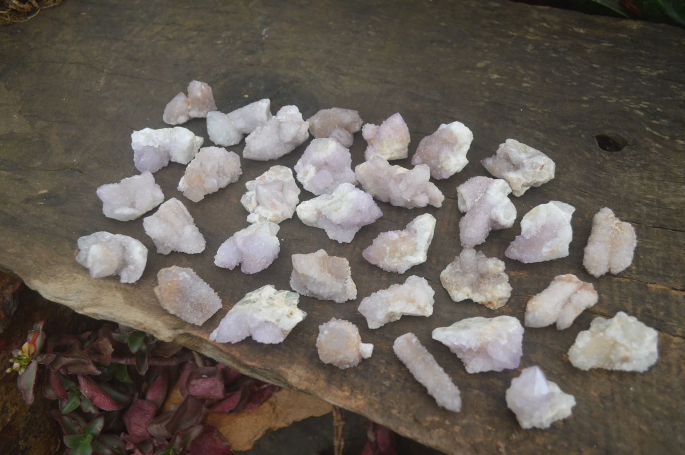 Natural Small Spirit Amethyst Quartz Crystals  x 63 From Boekenhouthoek, South Africa - Toprock Gemstones and Minerals 