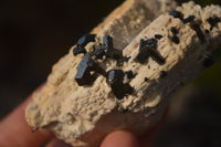 Natural Schorl Black Tourmaline Specimens x 6 From Erongo, Namibia - Toprock Gemstones and Minerals 