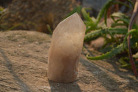 Natural Arcadian Quartz Crystals x 2 From Angola - Toprock Gemstones and Minerals 