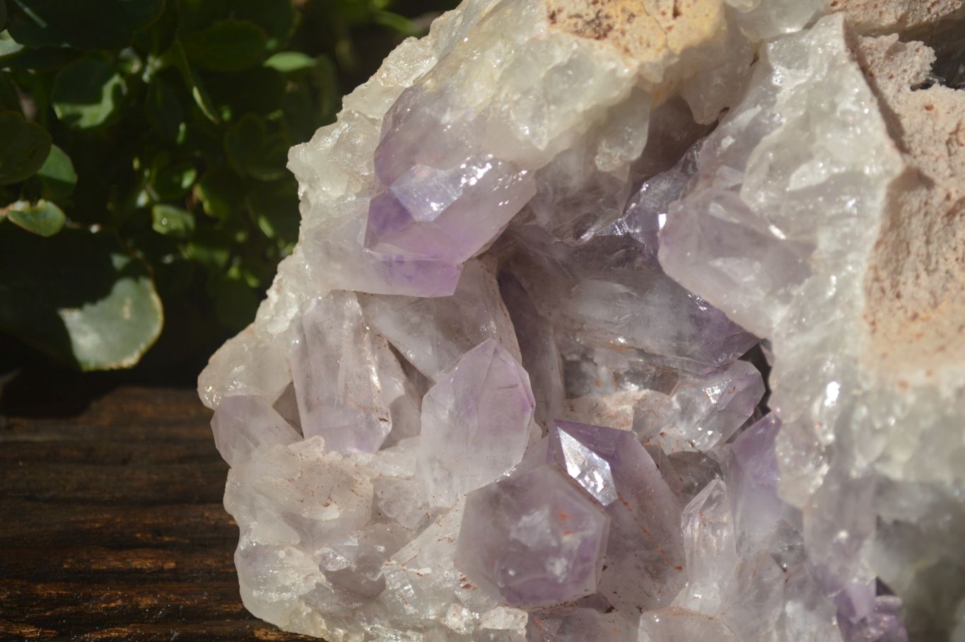 Natural Extra Large Jacaranda Amethyst Vug Specimen  x 1 From Mumbwa, Zambia - TopRock