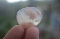 Polished Ocean Flower Agate Palm Stones  x 37 From Antsahalova, Madagascar - Toprock Gemstones and Minerals 