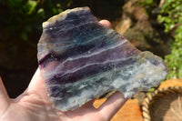 Polished Semi Translucent Watermelon Fluorite Slices x 3 From Uis, Namibia - TopRock