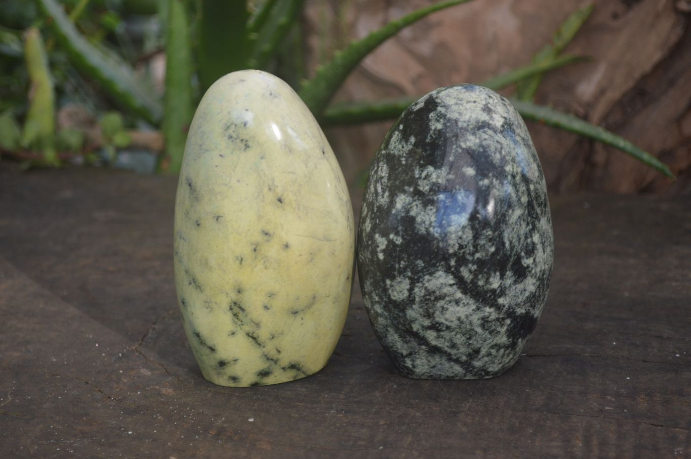 Polished Spotted Leopard Stone Standing Free Forms  x 6 From Zimbabwe - Toprock Gemstones and Minerals 