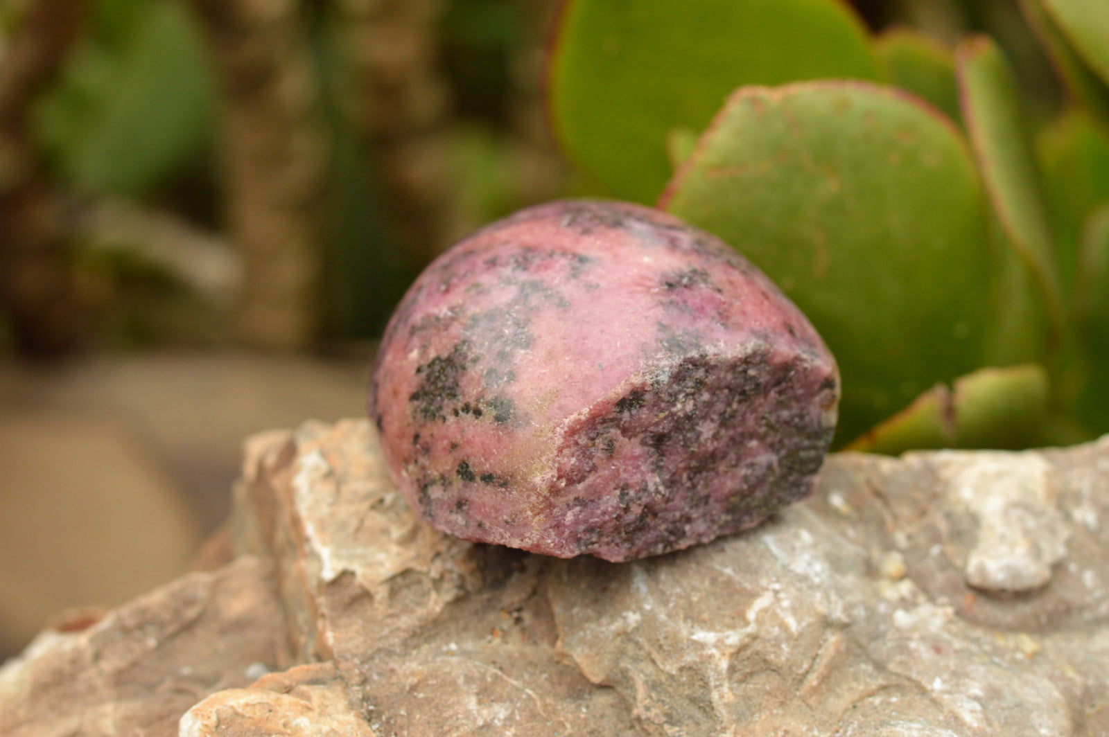 Polished Half Polished Rhodonite Free Forms  x 4 From Madagascar - TopRock