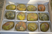 Polished Green Opal Galet / Palm Stones x 12 From Antsirabe, Madagascar - Toprock Gemstones and Minerals 