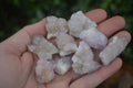 Natural Small Spirit Amethyst Quartz Crystals  x 63 From Boekenhouthoek, South Africa - Toprock Gemstones and Minerals 