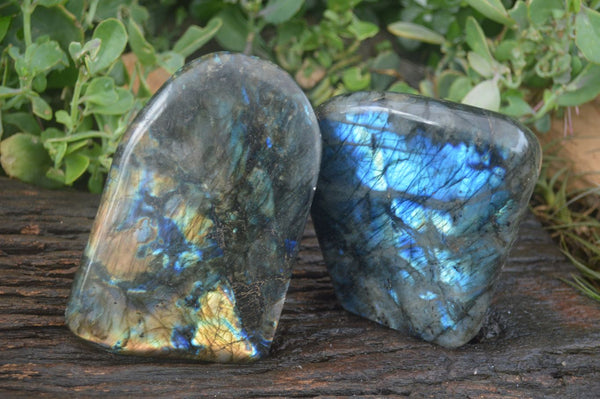 Polished Labradorite Standing Free Forms  x 2 From Tulear, Madagascar - Toprock Gemstones and Minerals 