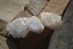 Natural White Spirit Cactus Quartz Crystals  x 24 From Boekenhouthoek, South Africa - Toprock Gemstones and Minerals 
