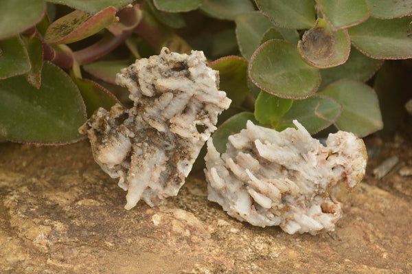 Natural Drusi Quartz Coated Calcite Pseudomorph Specimens  x 35 From Alberts Mountain, Lesotho - TopRock