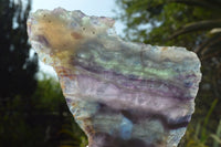 Polished Semi Translucent Watermelon Fluorite Slices x 3 From Uis, Namibia - TopRock