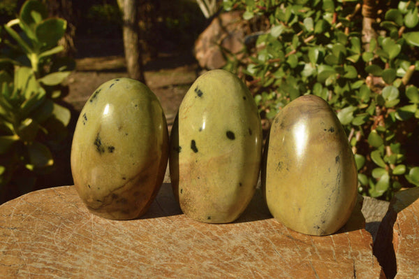 Polished Mixed Selection Of Leopard stone Free Forms   x 10 From Zimbabwe - TopRock