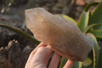 Natural Arcadian Quartz Crystals x 2 From Angola - Toprock Gemstones and Minerals 
