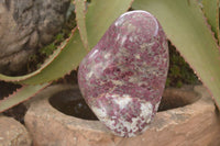Polished Rubellite A Grade Large Standing Display Free form x 1 From Madagascar - Toprock Gemstones and Minerals 