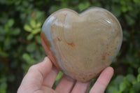 Polished Polychrome Jasper Hearts  x 2 From Madagascar