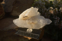 Natural Multi Terminated Quartz Clusters  x 4 From Madagascar - Toprock Gemstones and Minerals 
