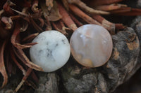 Polished Ocean Flower Agate Palm Stones  x 37 From Antsahalova, Madagascar - Toprock Gemstones and Minerals 