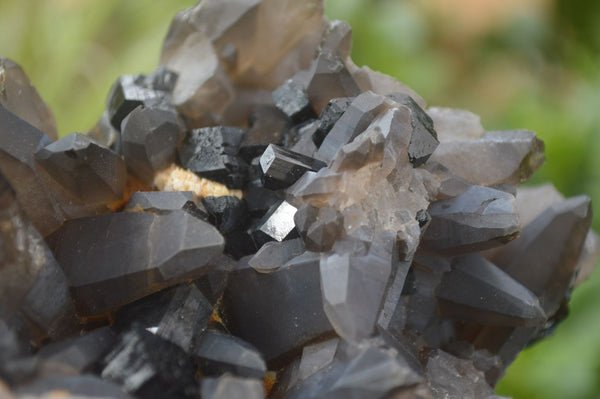 Natural Smokey Quartz Crystal Cluster With Hyalite Opal x 1 From Erongo Mountains, Namibia - TopRock