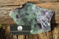 Polished Semi Translucent Watermelon Fluorite Slices x 3 From Uis, Namibia - TopRock