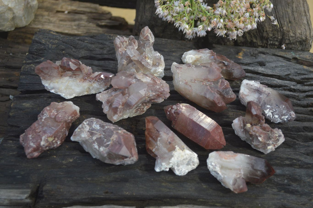Natural Red Hematoid Quartz Specimens x 12 From Karoi, Zimbabwe - Toprock Gemstones and Minerals 