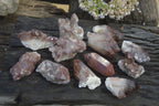Natural Red Hematoid Quartz Specimens x 12 From Karoi, Zimbabwe - Toprock Gemstones and Minerals 
