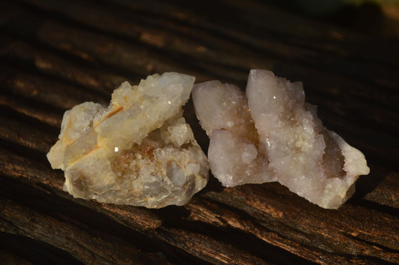 Natural Small White Spirit Fairy Quartz Clusters x 45 From Boekenhouthoek, South Africa - Toprock Gemstones and Minerals 