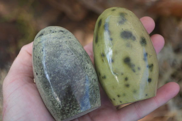 Polished Spotted Leopard Stone Standing Free Forms  x 6 From Zimbabwe