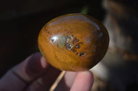 Polished Green Opal Galet / Palm Stones x 12 From Antsirabe, Madagascar - Toprock Gemstones and Minerals 