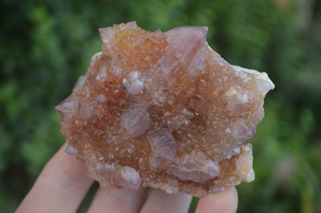 Natural Spirit Amethyst Quartz Clusters  x 6 From Boekenhouthoek, South Africa - Toprock Gemstones and Minerals 