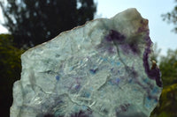 Polished Semi Translucent Watermelon Fluorite Slices x 3 From Uis, Namibia - TopRock