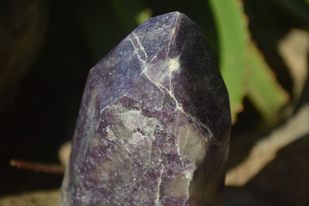 Polished Purple Lepidolite Point  x 1 From Madagascar - Toprock Gemstones and Minerals 